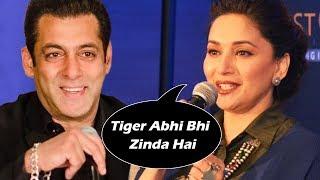 Madhuri Dixit's SHOCKING COMMENT On Salman's Tiger Zinda Hai