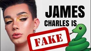 JAMES CHARLES IS FAKE THE HOUSE