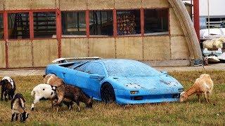 15 Most EXPENSIVE and EXCLUSIVE abandoned CARS
