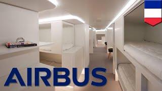 Airbus sleeping pods: A330 cargo holds to have luxury pods - TomoNews