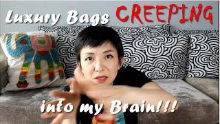 Luxury Bags CREEPING into my BRAIN! | Luxe Chit Chat | Kat L