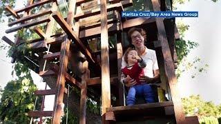 Family shocked as $22K luxury treehouse violates city code