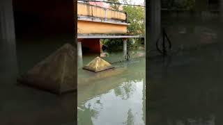 Kerala Flood .. all luxury Houses and Cars deep down...